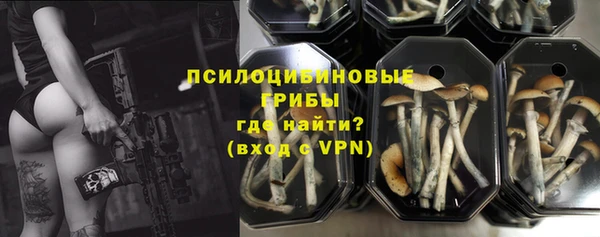 PSILOCYBIN Арсеньев